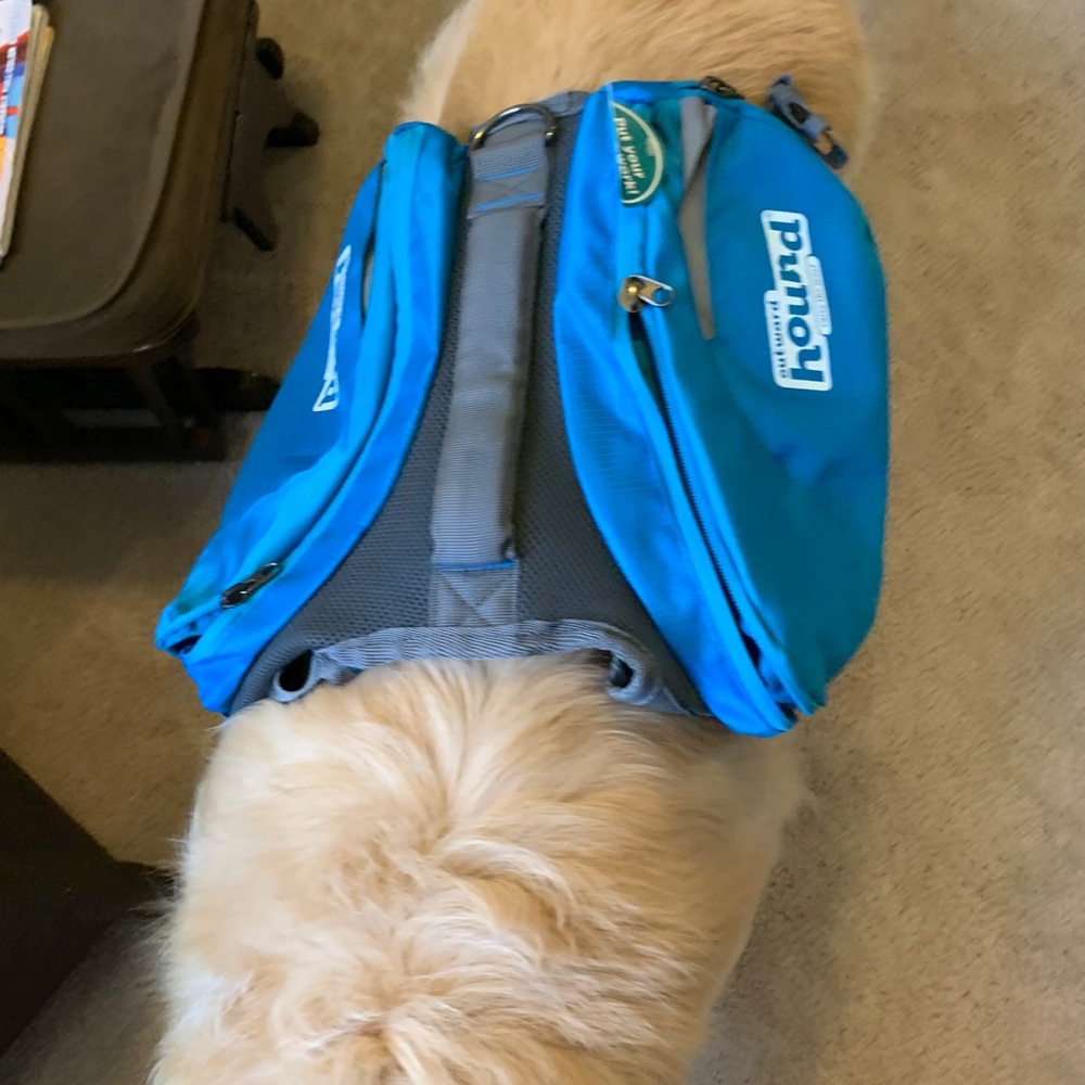 Outward Hound dog XL book bag . NWT. Fits dogs up to 95 pounds.